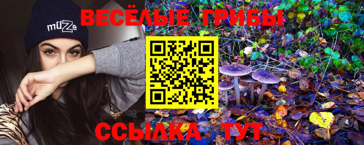 купить  цена  Вход с VPN  Кострома  Псилоцибиновые грибы прущие грибы 